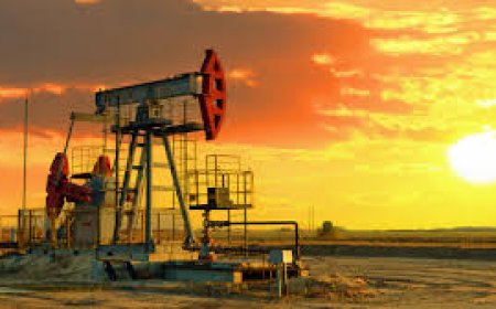 النفط يقلص مكاسبه الأسبوعية قبيل قمة ترامب وبوتين