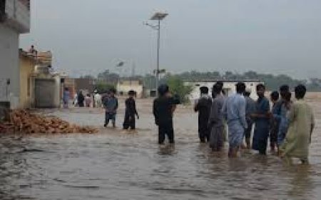 باكستان: ارتفاع حصيلة قتلى الفيضانات إلى 225 ضحية