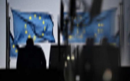 نيويورك تايمز ترامب يدعو القادة الأوروبيين للانضمام إلى اجتماع زيلينسكي