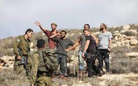 إصابتان في هجوم للمستعمرين على منزل في ترمسعيا