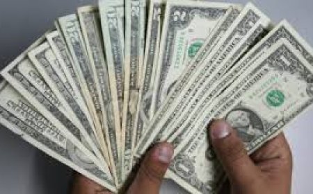 المستثمرون يخشون تراجع استقلالية الفيدرالي والإذعان لضغوط خفض الفائدة في سبتمبر