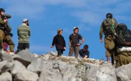 مستعمرون يعتدون على مواطنة ونجلها في المنيا شرق بيت لحم