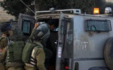 الاحتلال يعتقل مواطنا من مخيم الدهيشة