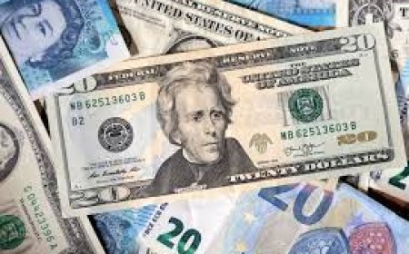 الدولار يرتفع مع تقليص المتعاملين رهانات خفض الفائدة قبل خطاب باول