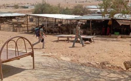 مستعمر يستولي على منزل في تجمع شلال العوجا شمال أريحا