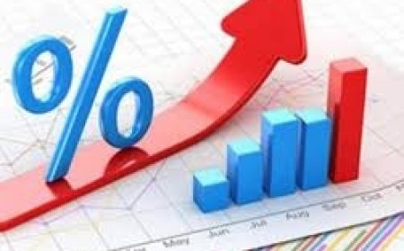 "الإحصاء": ارتفاع عجز الميزان التجاري للسلع المرصودة بنسبة 8% خلال شهر حزيران