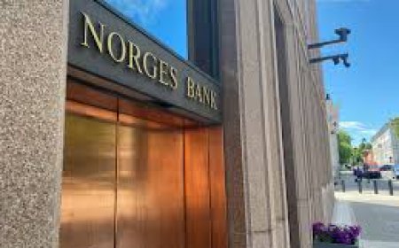 الصندوق النرويجي يعلن استبعاد شركات إسرائيلية من استثماراته بسبب الانتهاكات في غزة