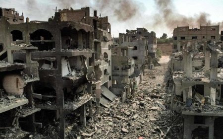 المنظمة الدولية للهجرة: قطاع غزة لم يعد يحتمل الانتظار