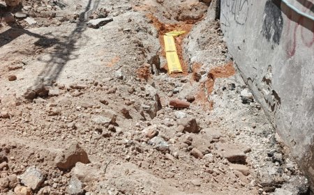 تحت رعاية الرئيس.. "شؤون اللاجئين" تنفذ مشاريع تطويرية في مخيمي العروب والفوار