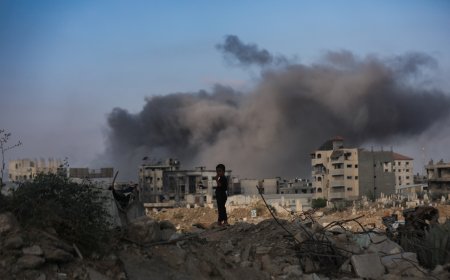 15 شهيدا في قصف الاحتلال حيي النصر والزيتون بمدينة غزة