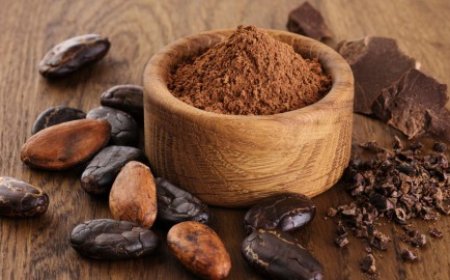 قائمة الدول العشر الأوائل في إنتاج وتصدير الكاكاو.. وحصة العرب من السوق