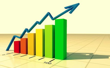 أسعار المنتج تسجل ارتفاعا في تموز الماضي