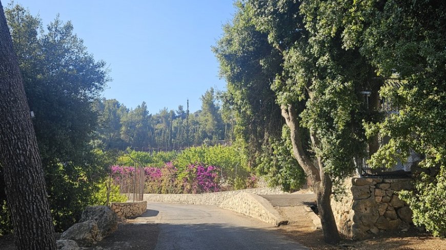 حالة الطقس: انخفاض طفيف على درجات الحرارة