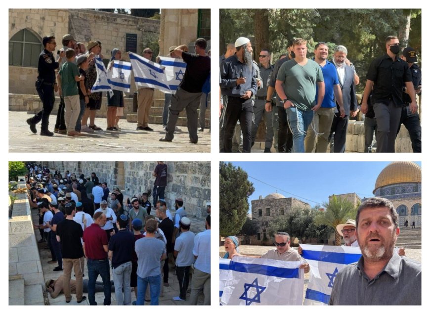 ارتفاع عدد المستعمرين المقتحمين للمسجد الأقصى إلى 3023 وتحذيرات واسعة من خطورة ما يجري