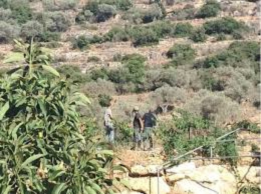 سلطة جودة البيئة تصدر تعليمات جديدة لحماية مناطق التنوع الحيوي في فلسطين