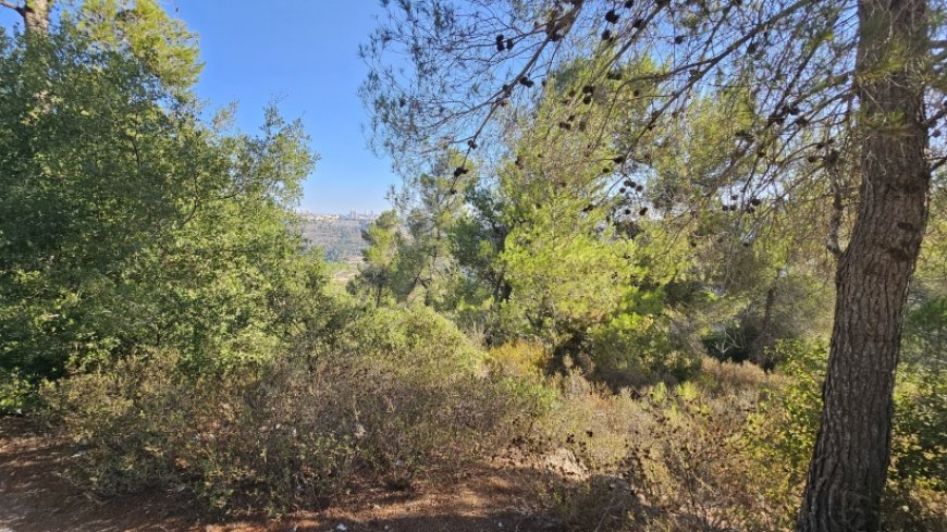 حالة الطقس: درجات الحرارة أعلى من معدلها السنوي العام