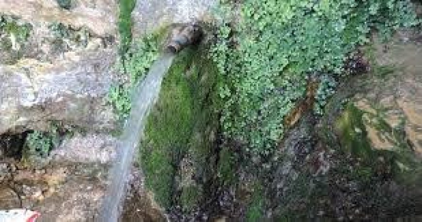 الاحتلال يردم 7 ينابيع مياه في بلدة الظاهرية