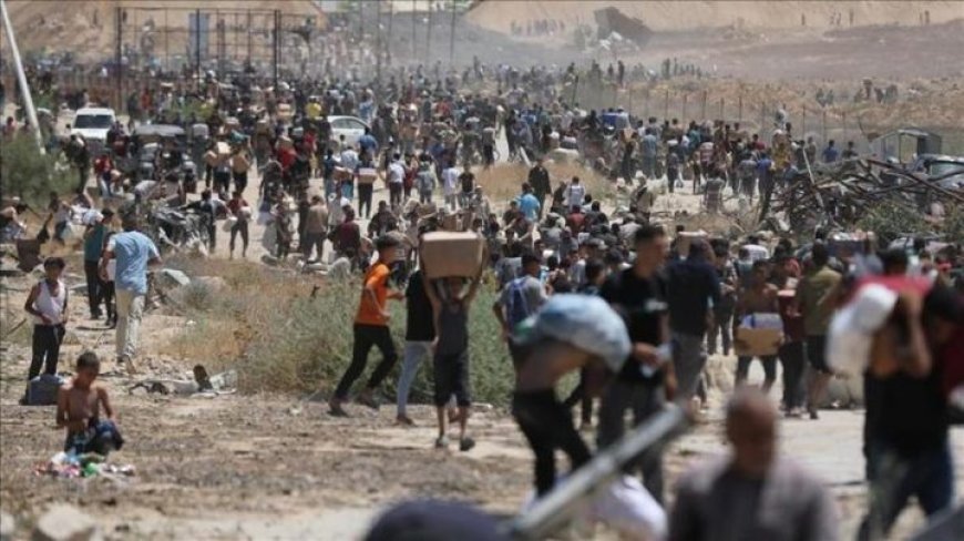 9 شهداء من منتظري المساعدات برصاص الاحتلال شمال رفح ووسط قطاع غزة