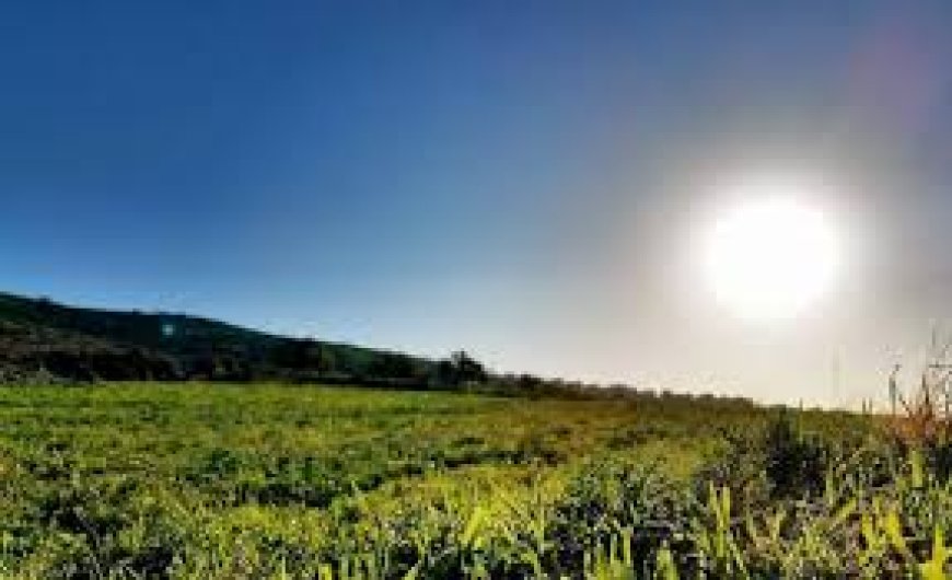 الطقس: أجواء صافية وانخفاض تدريجي على درجات الحرارة