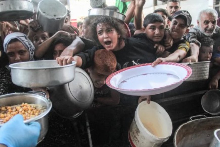 أكثر من 100 منظمات أجنبية تتهم إسرائيل بمنعها من إيصال المساعدات لسكان غزة المحاصرين لإنقاذ حياتهم في ظل الحرب الدامية