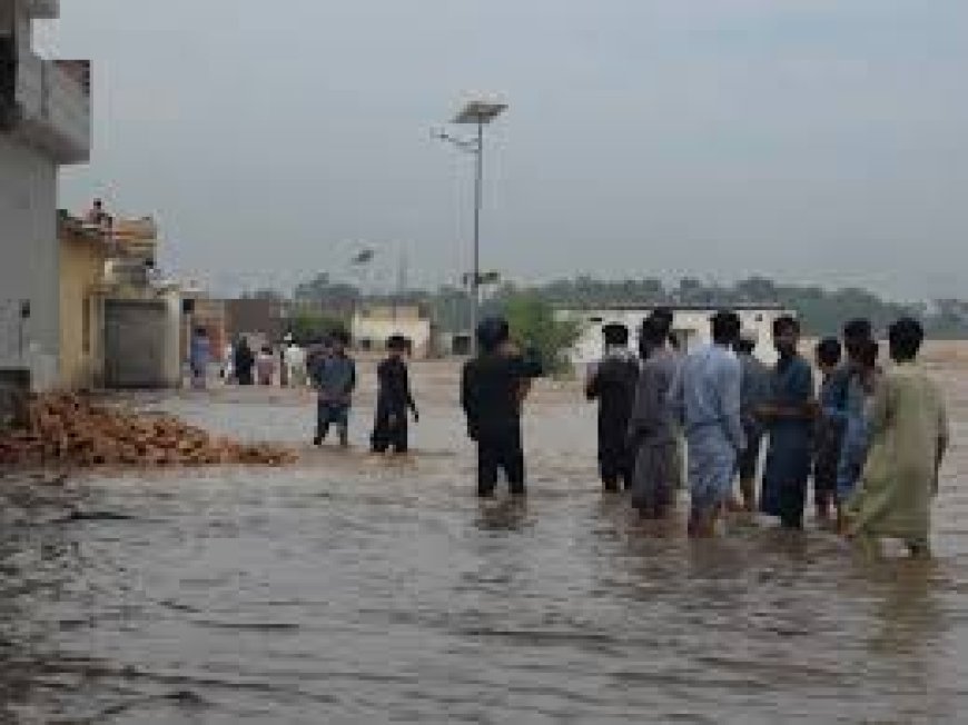 باكستان: ارتفاع حصيلة قتلى الفيضانات إلى 225 ضحية