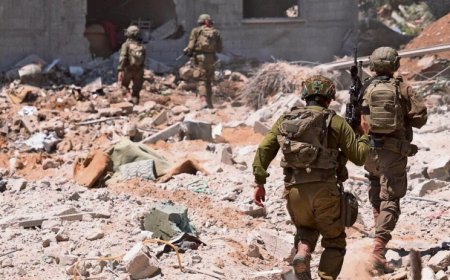 الجمعية الدولية للإبادة تؤكد: أفعال إسرائيل بغزة ترقى لجريمة الإبادة الجماعية