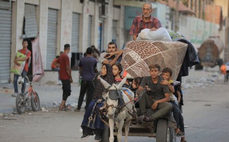 بالأرقام: معظم سكان غزة يرفضون النزوح وبعض النازحين عادوا للمدينة