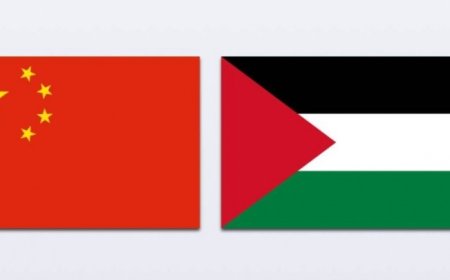 الصين تعلن الانضمام إلى إعلان نيويورك بشأن حل الدولتين