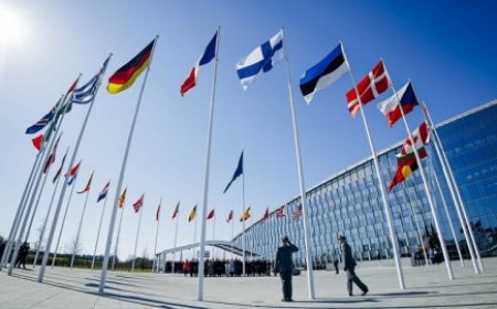 إزفيستيا: دول الناتو تتدرب قبالة سواحل تركيا على محاصرة القواعد الروسية في سوريا