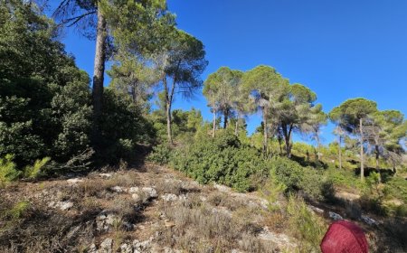 الطقس: ارتفاع طفيف على درجات الحرارة