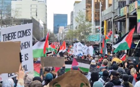 الآلاف يشاركون في مسيرة مؤيدة لفلسطين في أكبر مدن نيوزيلندا