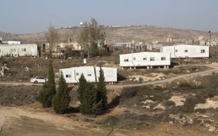 تقرير: جيش الاحتلال يتعهد بدعم البؤر الاستيطانية والمزارع الرعوية بشكل مكشوف