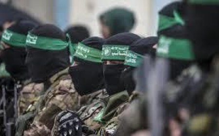 حماس ترد على تصريحات ترامب: انحياز سافر للدعاية الصهيونية