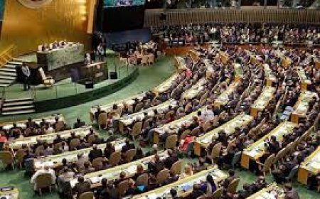 لوكسمبورغ تعتزم الاعتراف بدولة فلسطينية في الأمم المتحدة