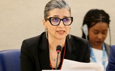 الأمم المتحدة: إسرائيل ترتكب إبادة جماعية في غزة