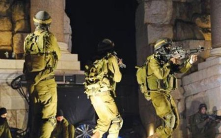 قوات الاحتلال تعتقل 7 مواطنين في نابلس