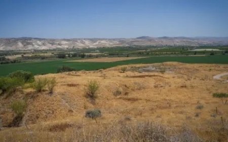 مصدر غربي يكشف: إسرائيل قد تضم غور الأردن رسميا