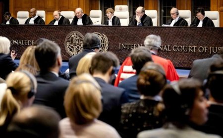 البرازيل تنضم لدعوى جنوب أفريقيا ضد إسرائيل أمام العدل الدولية