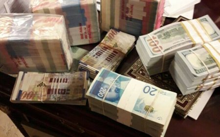 ألمانيا تدرس تقديم دعم مالي طارئ للسلطة لتعويض أموال المقاصة