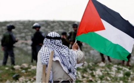 خطوة تاريخية.. نحو 11 دولة حول العالم تعتزم الأحد والاثنين الاعتراف رسميًا بالدولة الفلسطينية