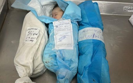 وفاة 13 طفلاً بينهم 10 أجنة بمجمع ناصر الطبي في خان يونس