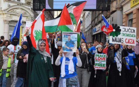 الأرجنتين: التحالف التقدمي العالمي يعتمد بالإجماع قرارا حول وقف الإبادة وإقامة الدولة الفلسطينية المستقلة