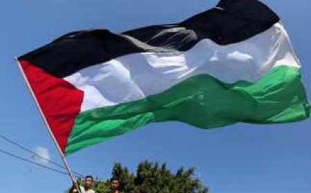 فرنسا و10 دول أخرى تستعد للاعتراف بدولة فلسطين في الأمم المتحدة الاثنين.. وأمريكا تصفها بالخطوة “الاستعراضية”