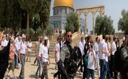 مستعمرون يقتحمون المسجد الأقصى