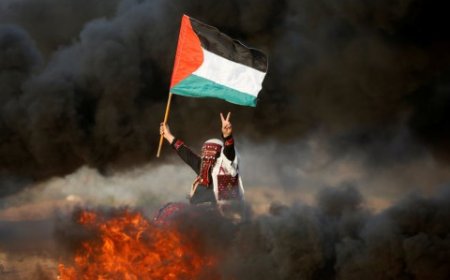 مؤتمر حل الدولتين.. قطر تعتبره تاريخيا والإمارات تهاجم إسرائيل والجزائر تدعم دولة فلسطين وإسبانيا تطالب بوقف مجزرة غزة