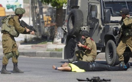 الجيش الإسرائيلي يُعدم فلسطينيًا بالرصاص قرب مدينة جنين.. وحصيلة شهداء الضفة منذ بدء حرب غزة ترتفع لـ 1044شهيدًا