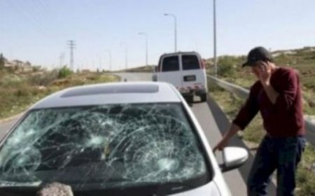 مستعمرون يعتدون على رئيس وعضو في بلدية بيتا جنوب نابلس