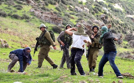 مستوطنون يعتدون على أراضي المواطنين جنوب سلفيت