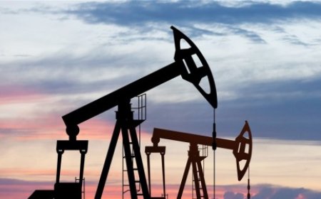 النفط يلتقط أنفاسه بعد خسائر ليومين متتاليين والإغلاق الحكومي في دائرة الضوء