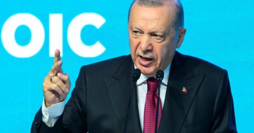 الرئيس التركي: لا يمكن أن نبقى متفرجين أمام ما يجري في فلسطين من جرائم وفظائع يرتكبها “الطاغية الكافر” نتنياهو